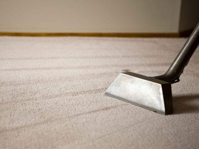 Carpet Cleaning Service Near Me T8R